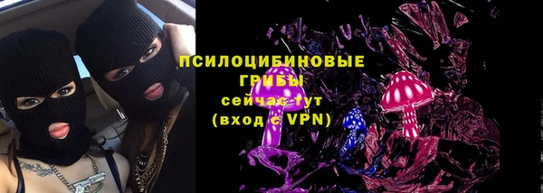 соль ск Лабытнанги
