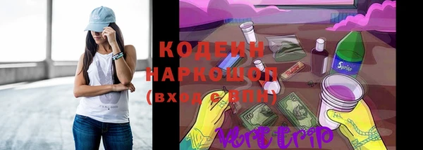 соль ск Лабытнанги