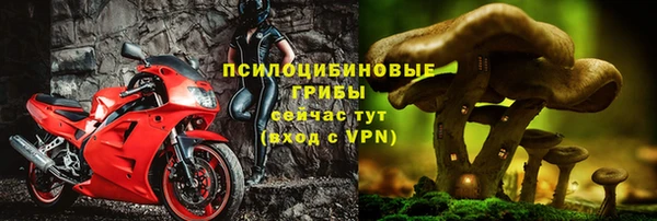 сатива Ладушкин