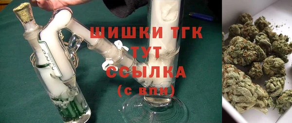 прущий лед Лагань