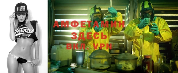 сатива Ладушкин